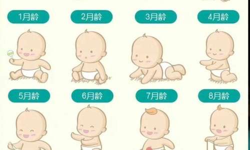 【刚出生婴儿胃有多大】新生儿胃容量标准对照表 - 刚出生婴儿的胃容量为网